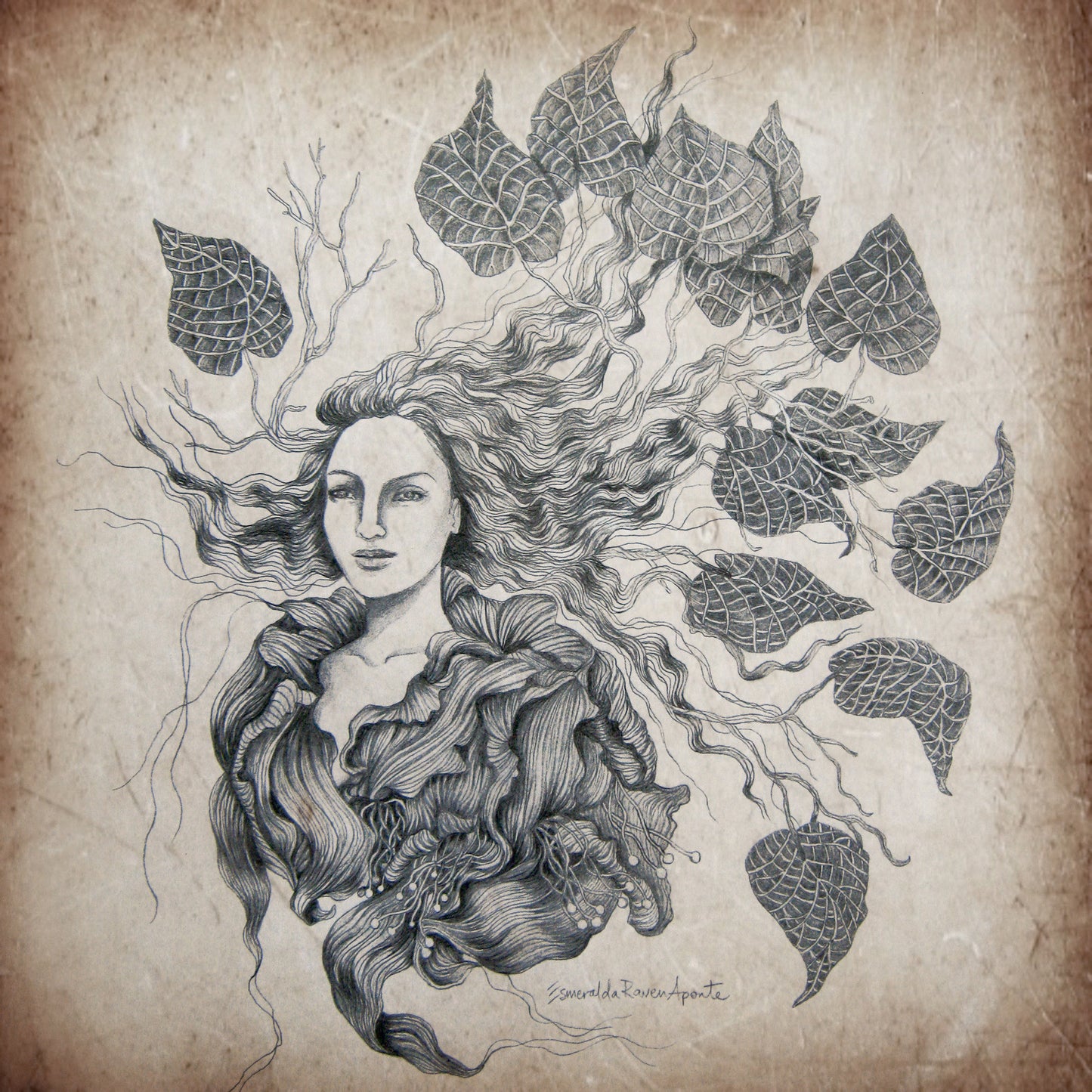 'Inflorescence' Print
