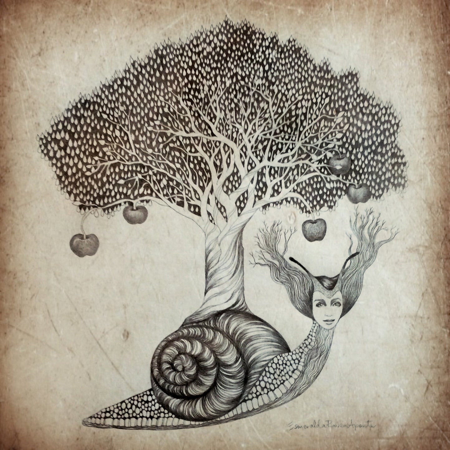 'Paciencia' Print